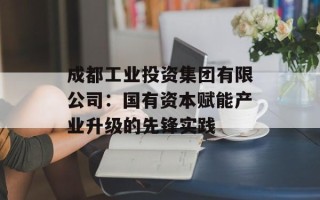 成都工业投资集团有限公司：国有资本赋能产业升级的先锋实践