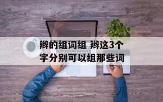 辫的组词组 辫这3个字分别可以组那些词
