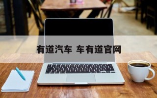 有道汽车 车有道官网