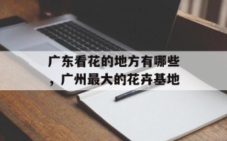 广东看花的地方有哪些，广州最大的花卉基地