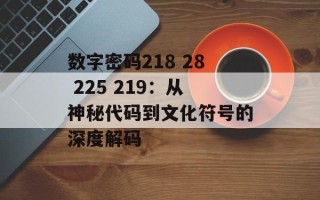 数字密码218 28 225 219：从神秘代码到文化符号的深度解码