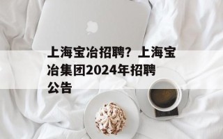 上海宝冶招聘？上海宝冶集团2024年招聘公告