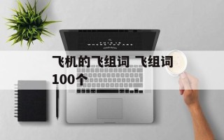 飞机的飞组词 飞组词100个