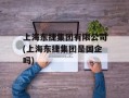 上海东捷集团有限公司(上海东捷集团是国企吗)
