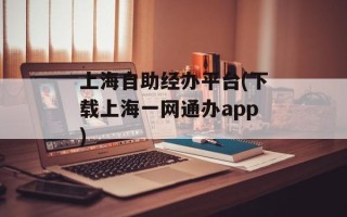 上海自助经办平台(下载上海一网通办app)