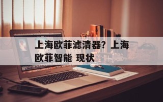 上海欧菲滤清器？上海欧菲智能 现状