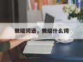 微组词语，微组什么词