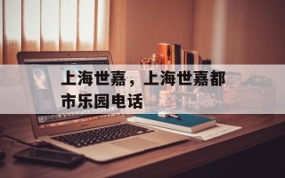 上海世嘉，上海世嘉都市乐园电话