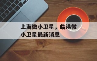 上海微小卫星，临港微小卫星最新消息