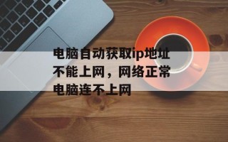 电脑自动获取ip地址不能上网，网络正常 电脑连不上网