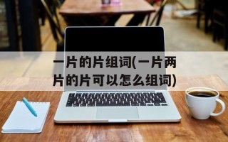 一片的片组词(一片两片的片可以怎么组词)