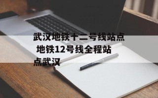 武汉地铁十二号线站点 地铁12号线全程站点武汉