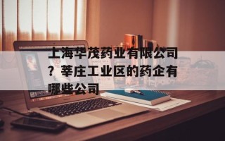 上海华茂药业有限公司？莘庄工业区的药企有哪些公司