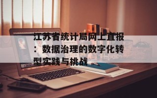 江苏省统计局网上直报：数据治理的数字化转型实践与挑战