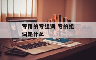 专用的专组词 专的组词是什么