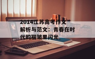 2014江苏高考作文解析与范文：青春在时代的褶皱里闪光