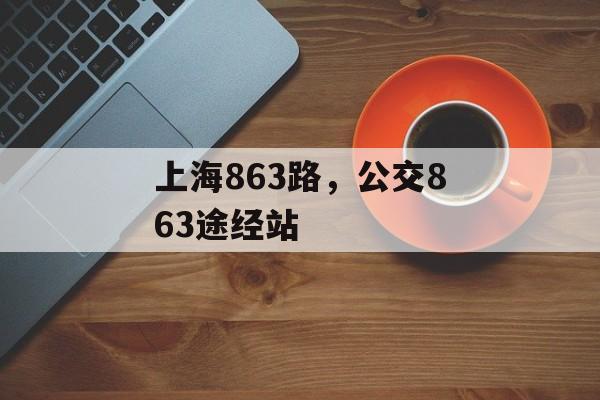 上海863路，公交863途经站-第1张图片-