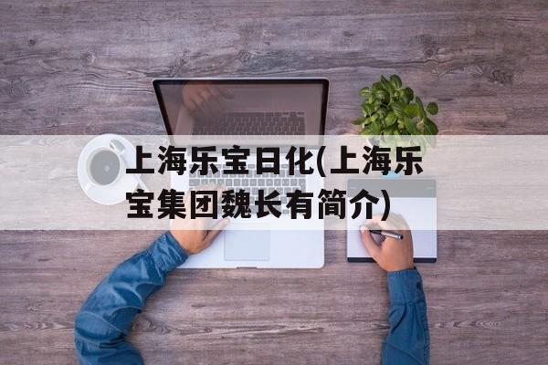 上海乐宝日化(上海乐宝集团魏长有简介)-第1张图片-