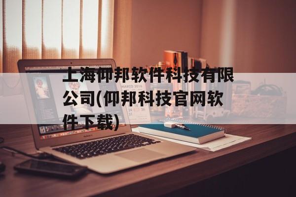 上海仰邦软件科技有限公司(仰邦科技官网软件下载)-第1张图片-