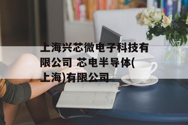 上海兴芯微电子科技有限公司 芯电半导体(上海)有限公司-第1张图片-