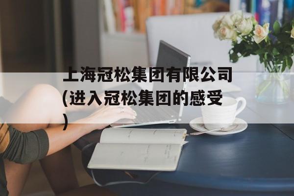 上海冠松集团有限公司(进入冠松集团的感受)-第1张图片-