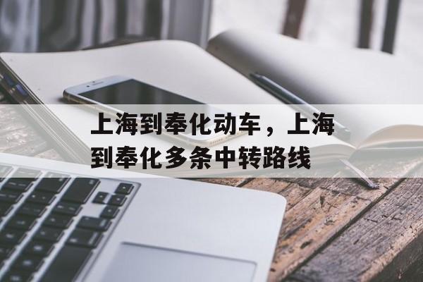 上海到奉化动车，上海到奉化多条中转路线-第1张图片-