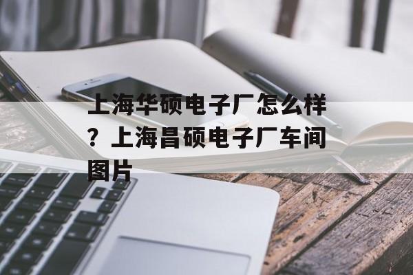 上海华硕电子厂怎么样？上海昌硕电子厂车间图片-第1张图片-
