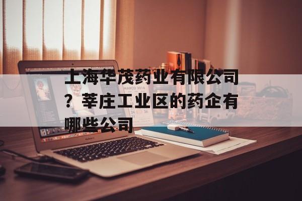 上海华茂药业有限公司？莘庄工业区的药企有哪些公司-第1张图片-