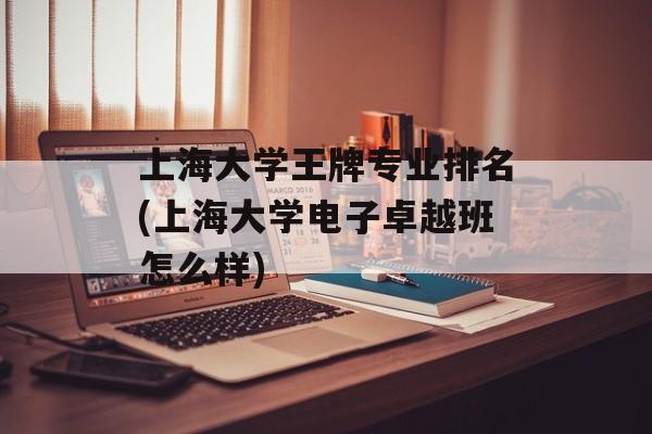 上海大学王牌专业排名(上海大学电子卓越班怎么样)-第1张图片-