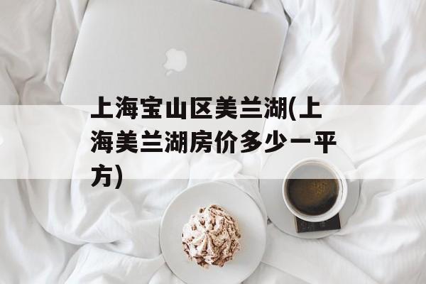 上海宝山区美兰湖(上海美兰湖房价多少一平方)-第1张图片-