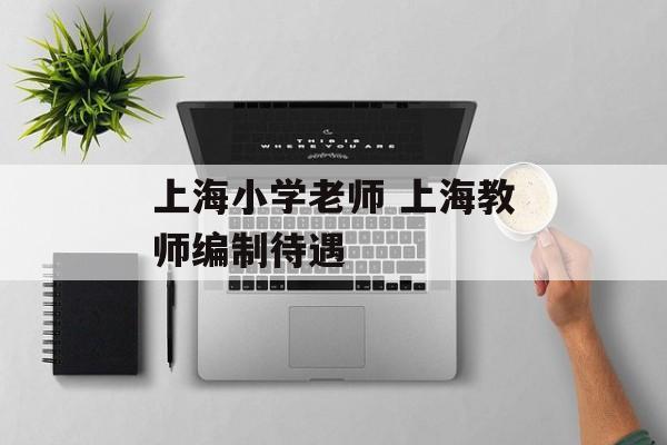 上海小学老师 上海教师编制待遇-第1张图片-