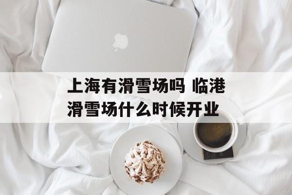 上海有滑雪场吗 临港滑雪场什么时候开业-第1张图片-