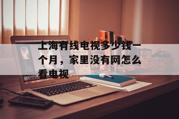 上海有线电视多少钱一个月，家里没有网怎么看电视-第1张图片-