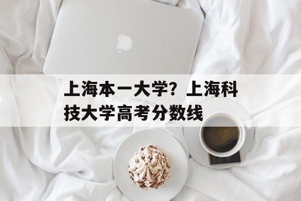 上海本一大学？上海科技大学高考分数线-第1张图片-