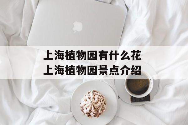 上海植物园有什么花 上海植物园景点介绍-第1张图片-