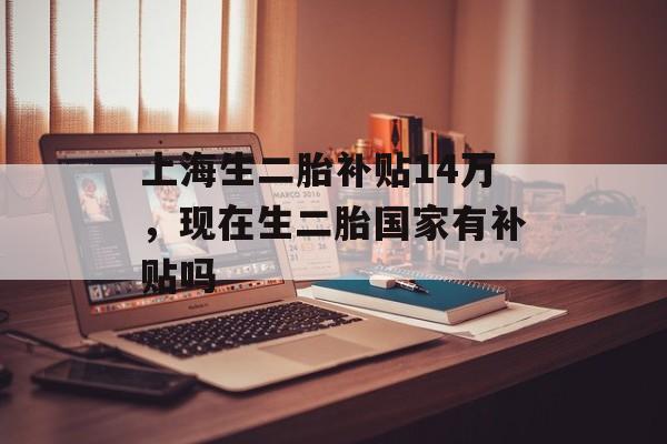 上海生二胎补贴14万，现在生二胎国家有补贴吗-第1张图片-