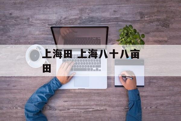 上海田 上海八十八亩田-第1张图片-