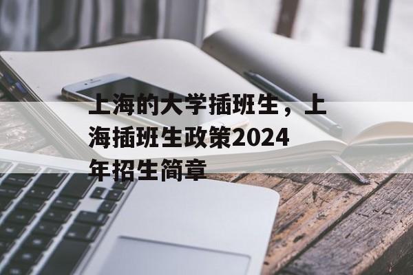 上海的大学插班生，上海插班生政策2024年招生简章-第1张图片-