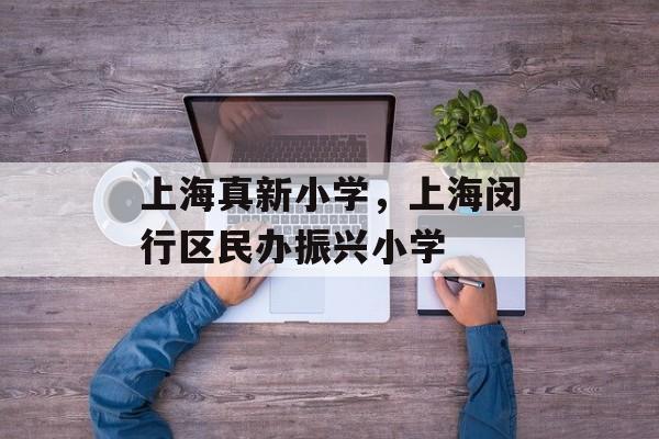 上海真新小学，上海闵行区民办振兴小学-第1张图片-