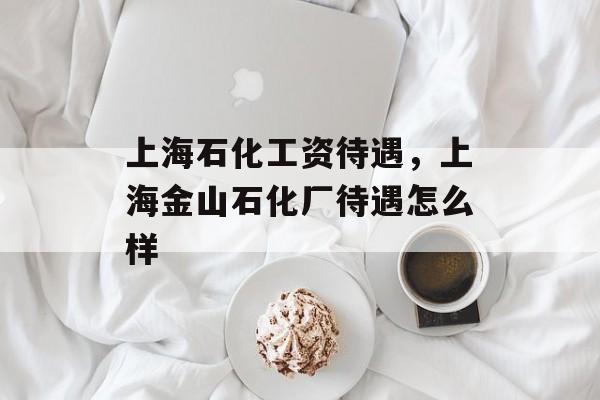 上海石化工资待遇，上海金山石化厂待遇怎么样-第1张图片-