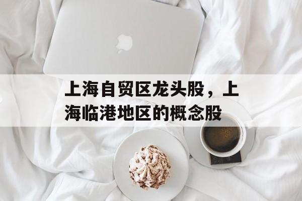 上海自贸区龙头股，上海临港地区的概念股-第1张图片-