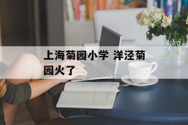 上海菊园小学 洋泾菊园火了-第1张图片-