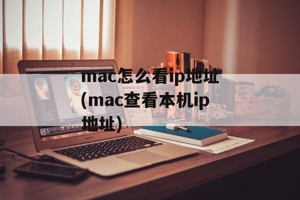 mac怎么看ip地址(mac查看本机ip地址)-第1张图片-