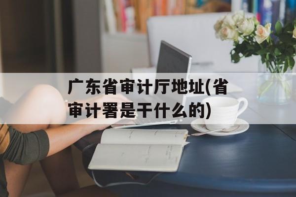 广东省审计厅地址(省审计署是干什么的)-第1张图片-