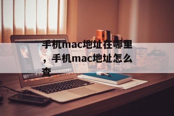 手机mac地址在哪里，手机mac地址怎么查-第1张图片-