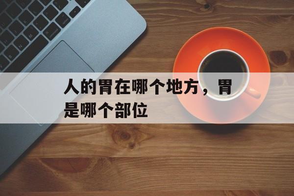 人的胃在哪个地方，胃是哪个部位-第1张图片-