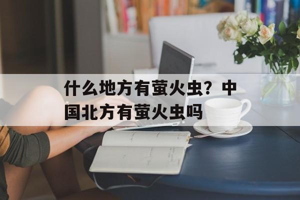 什么地方有萤火虫？中国北方有萤火虫吗-第1张图片-