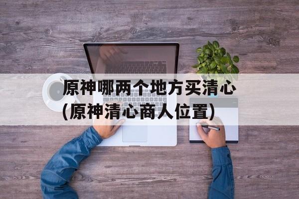 原神哪两个地方买清心(原神清心商人位置)-第1张图片-