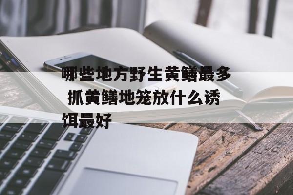 哪些地方野生黄鳝最多 抓黄鳝地笼放什么诱饵最好-第1张图片-
