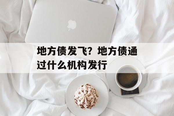 地方债发飞？地方债通过什么机构发行-第1张图片-